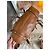 Borsa Tote Miu Miu con Fiocco in Pelle Martellata Caramello Marrone Beige Castagno Cammello - vista 8