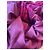 Chanel Sammler 1995 Pink Fuschia - Ansicht 13