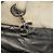 CHANEL Paris Biarritz PM Tote Bag Beschichtete Leinwand Silber CC Auth bs23887 - Ansicht 10