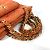 Chanel Vintage CC Coco Mark gesteppte Wildleder Schultertasche Orange - Ansicht 11