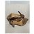 ISABEL MARANT Absätze T.EU 38 Leder Beige - Ansicht 6