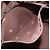 Autre Marque Burberrys Nova Check Schultertasche aus PVC Leder Beige Braun Gold Auth EC731 Golden - Ansicht 22