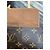 LOUIS VUITTON Borsa Marelle Marrone - vista 6