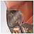 LOUIS VUITTON Monogram Cartouchiere MM Borsa a Spalla M51253 LV Auth MY282 Monogramma - vista 21
