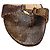 Sandali con cinturini goffrati Jimmy Choo Multicolore - vista 6