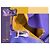 Billionaire Luxurious travel bag (large size) Dark purple - view 2
