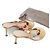 Gianvito Rossi Shanti Thong Dourado