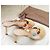 Gianvito Rossi Shanti Thong Dourado - vista 2