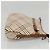 Borsa a spalla Burberry Nova Check Blue Label in tela beige Auth BD1720 - vista 3