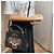 Louis Vuitton Capucines BB 2way Taurillon Leather Trapped Leopard Black - view 3