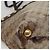 Borsa tote GG Crystal Gucci Beige 207291 Auth MX192 - vista 14