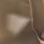 Borsa Speedy 30 Monogram Graffiti Louis Vuitton Arancione - Ansicht 14