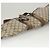 GUCCI GG Suprême GunSlip PVC Beige Auth MX319 - vue 6