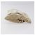 Prada Pochette Velour Beige Auth BD1618 - vista 3