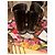 Dolce & Gabbana Mules - vista 2