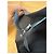 The Row Margaux 12 Handbag Dark Blue Leather - view 7