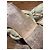 Mule Chanel in scamosciato beige 37 - vista 3