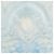 Louis Vuitton Etole Les Decors Parisiens au XIXe LV Light Blue Silk Muslin Stole Scarf Bleu - vue 4