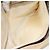 Borsa a Spalla GUCCI Camoscio Beige Oro Auth BA1297 D'oro - vista 11