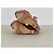 Charlotte Olympia Melody zeppe floreali multicolore - vista 7
