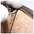 LOUIS VUITTON Monogram Poche Toilette 15 Pouch M47546 LV Auth am8106 Monogramma - vista 12