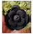 Spilla camelia Chanel Nero  - vista 2