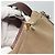 Borsa a Spalla Guccissima in Tela Beige 257301 Auth ep8622 - vista 9