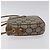 Borsa a spalla GUCCI GG Plus Supreme in pelle PVC beige oro Auth th5907 D'oro - vista 4