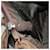 PRADA Borsa Tote Nylon Marrone Auth th5852  - vista 11