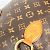 Borsa da boxe Iconoclast Monogram Louis Vuitton Marrone - vista 13
