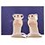 Sandali con tacco Nearlynude Stuart Weitzman in pelle nuda e grigia Marrone Carne - vista 7