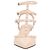 Valentino Garavani Pumps Valentino Rockstud Beige Marrone - vista 5