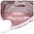 Borsa a spalla in pelle matelassé Miu Miu con catena rosa Auth 119144 - vista 11