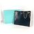 Borsa tote in pelle blu navy Tiffany & Co. - vista 18