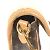 Borsa Diane NM PM Monogramma Louis Vuitton Marrone - vista 11