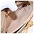 Borsa a Spalla Micro GG Supreme Gucci Beige Oro 007 92 5548 Auth BA1398 D'oro - vista 6