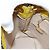 Céline Borsa a Spalla CELINE in Pelle Giallo Oro Auth sw496 D'oro - vista 20