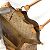 Borsa a Spalla Louis Vuitton Monogram Neo Caba Umbrella MM Marrone - vista 16