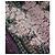 Etro Herbst 2004 Wolle Blumen Brokat Blazer Jacke Mehrfarben - Ansicht 5