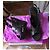 Mule con zeppa Ash Lucy in pelle marrone - vista 2