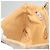 Céline Borsa a spalla in tela Macadam CELINE PVC beige oro Auth sw761 D'oro - vista 21