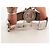 CORUM BUBBLE LUCIFER 28534020 AUTOMÁTICO 45 MM CRONÓGRAFO EDIÇÃO LIMITADA Prata - vista 5