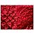 Abrigo largo origami Issey Miyake Roja - vista 6