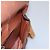 LOUIS VUITTON Monogram Saint Cloud GM Borsa a Spalla M51242 LV Auth 122795 Monogramma - vista 26