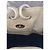 Borsa Bottega Veneta in pelle color crema - vista 11