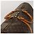 LOUIS VUITTON Monogram Keepall 55 Bolsa Boston M41424 LV Auth ep8912 Monograma - vista 6