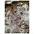 Roberto Cavalli Jeansjacke Beige - Ansicht 6