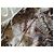 Roberto Cavalli Jeansjacke Beige - Ansicht 7