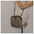 Borsa a spalla GUCCI GG Supreme Web Sherry Line PVC Beige 904 02 047 Auth hk2601 - vista 24