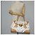 LOUIS VUITTON Handtasche Beverly GM Monogramm Multicolor Weiß M40201 Auth BA2117V - Ansicht 26